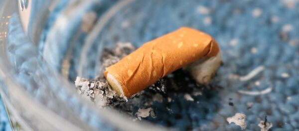 Затушенная сигарета - Sputnik Беларусь