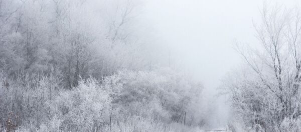 Туман зимой - Sputnik Беларусь