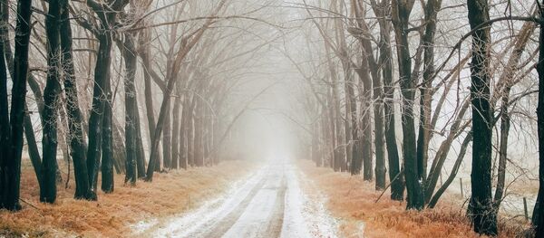 Туман в декабре - Sputnik Беларусь