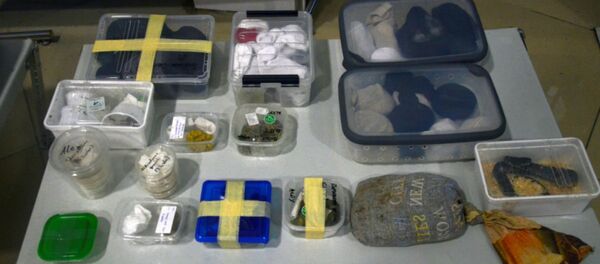 Контрабандный террариум обнаружили в Национальном аэропорту Минск - Sputnik Беларусь