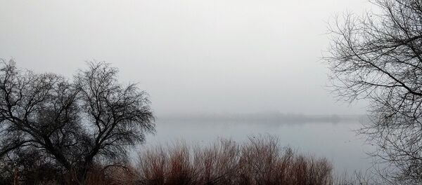 Туман в декабре - Sputnik Беларусь