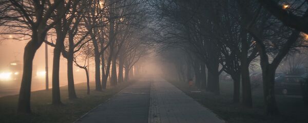 Дорога в тумане, архивное фото - Sputnik Беларусь