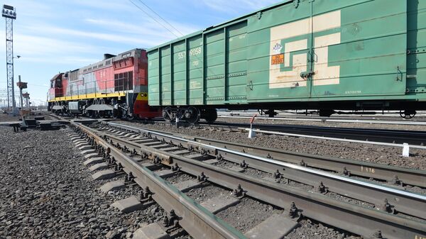 Тепловоз с грузовыми вагонами - Sputnik Беларусь