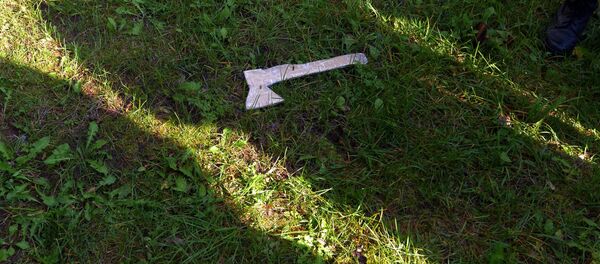 Топор, архивное фото - Sputnik Беларусь