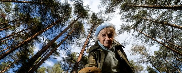 Сбор грибов - Sputnik Беларусь