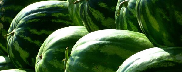 Арбузы, архивное фото - Sputnik Беларусь