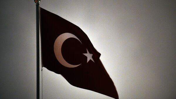 Флаг Турецкой Республики, архивное фото - Sputnik Беларусь