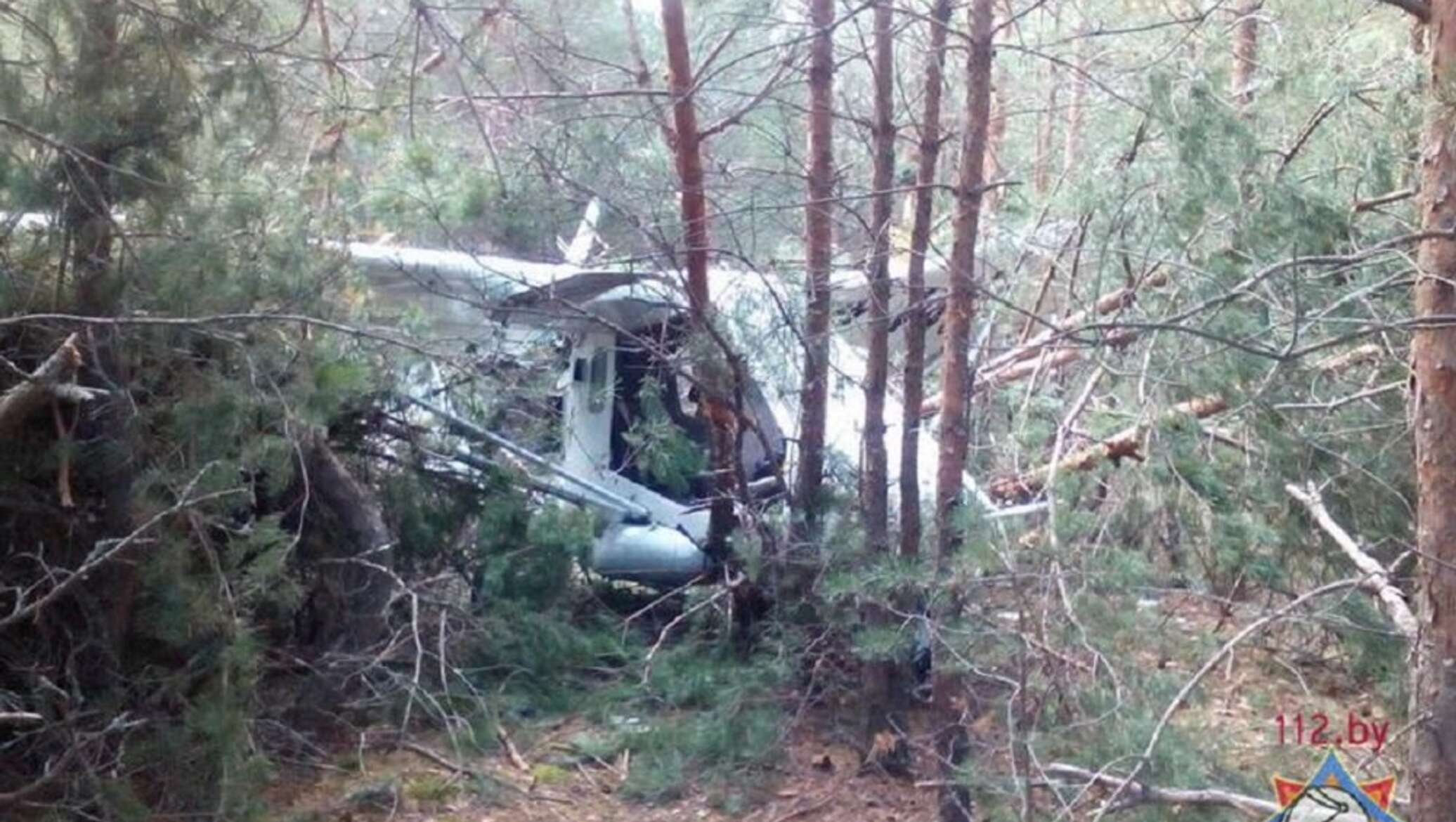 Богдановский лес самолет. Самолет в лесу. Падение самолета в лес. Заброшенный самолет в лесу. Упавшие самолеты в лесу.