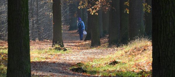 Ребенок в лесу - Sputnik Беларусь