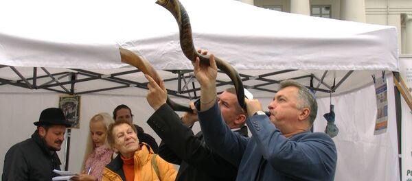 День еврейской культуры в Минске: крав-мага, шофар и яблоки с медом - Sputnik Беларусь