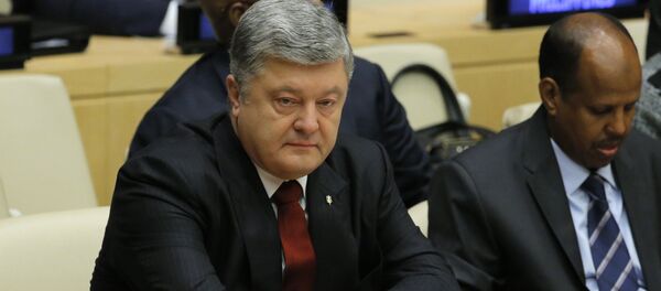 Президент Украины Петр Порошенко на Генеральной ассамблее ООН Президент Украины Петр Порошенко на Генеральной ассамблее ООН - Sputnik Беларусь