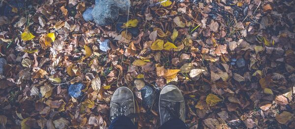 Ребенок в лесу, архивное фото - Sputnik Беларусь