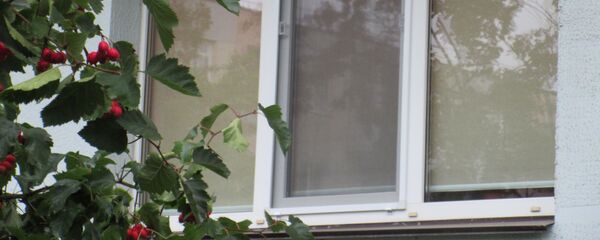 Окно в доме - Sputnik Беларусь