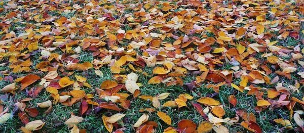 Погода в сентябре, архивное фото - Sputnik Беларусь