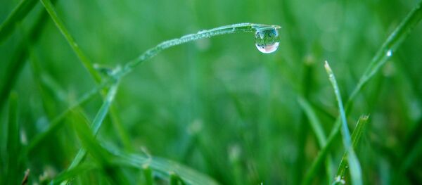 Дождь, архивное фото - Sputnik Беларусь