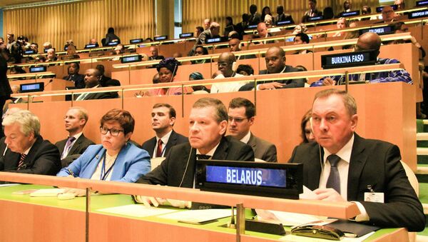 Министр иностранных дел Беларуси Владимир Макей на 72-й сессии Генеральной Ассамблеи ООН - Sputnik Беларусь