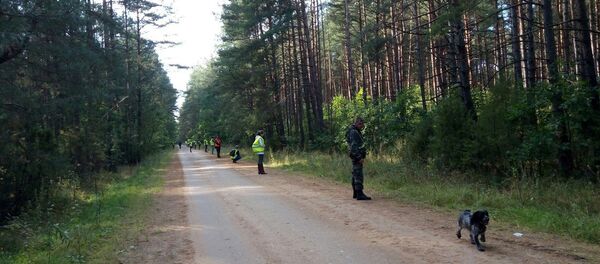 В Беловежской пуще ищут 10-летнего Максима Мархалюка - Sputnik Беларусь