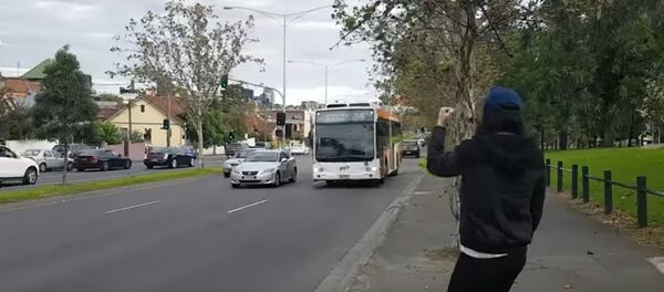 Новый челлендж: водители сигналили канадцу в ответ на его просьбу - Sputnik Беларусь