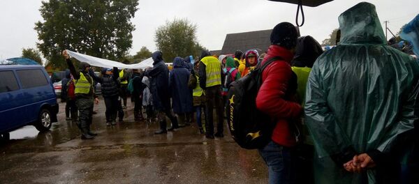 На поиски мальчика, пропавшего в Беловежской пуще, прибывает все больше добровольцев - Sputnik Беларусь