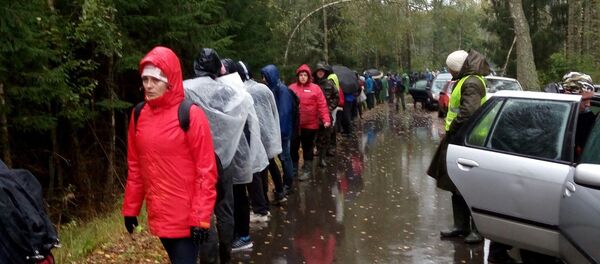 В Беловежской пуще ищут пропавшего мальчика - Sputnik Беларусь