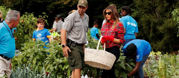 Мелания Трамп посадила капусту в саду Белого дома - Sputnik Беларусь