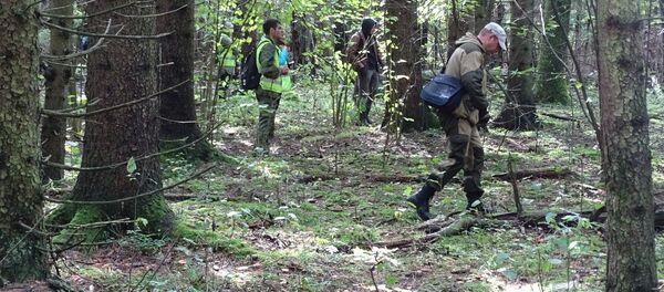 Поиски мальчика в пуще - Sputnik Беларусь