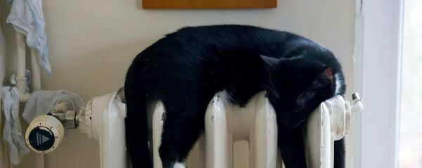 Кот ляжыць на батарэі, архіўнае фота - Sputnik Беларусь