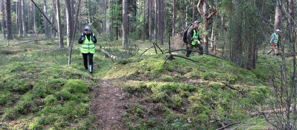 В лесах много оврагов, упавших деревьев - Sputnik Беларусь