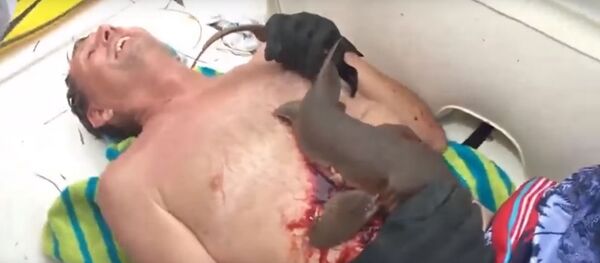 Акула-нянька впилась в живот рыбаку во Флориде, видео - Sputnik Беларусь