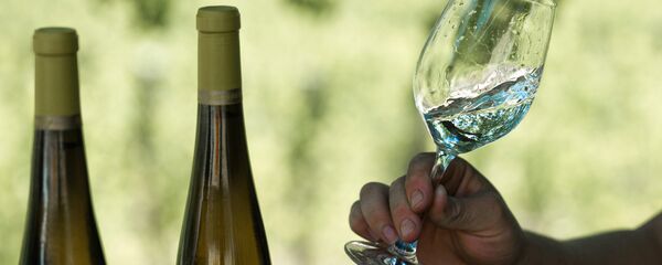 Винодельческое хозяйство UPPA Winery в Крыму - Sputnik Беларусь