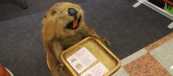 Международная выставка Турбизнес-2017 проходит в Минске Международная выставка Турбизнес-2017 проходит в Минске - Sputnik Беларусь