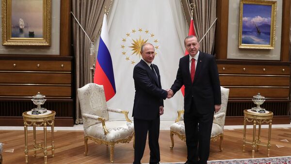 Визит президента РФ В. Путина в Турцию - Sputnik Беларусь