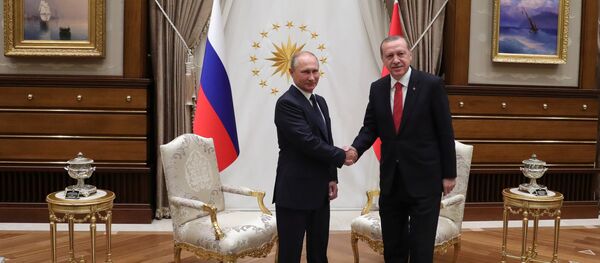 Визит президента РФ В. Путина в Турцию - Sputnik Беларусь