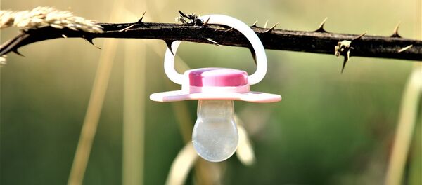 Пустышка Пустышка - Sputnik Беларусь