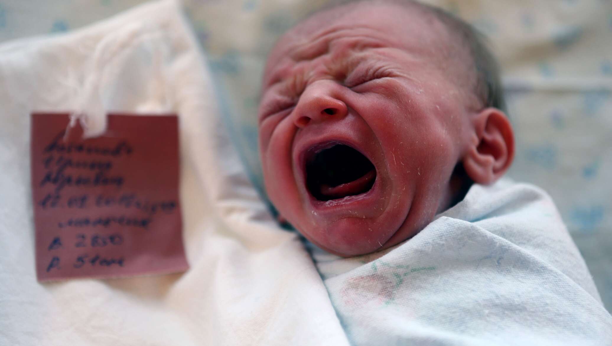фотографии новорожденных девочек в роддоме плачет