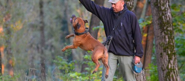 Фотограф Алексей Матюш и его питбуль - Sputnik Беларусь