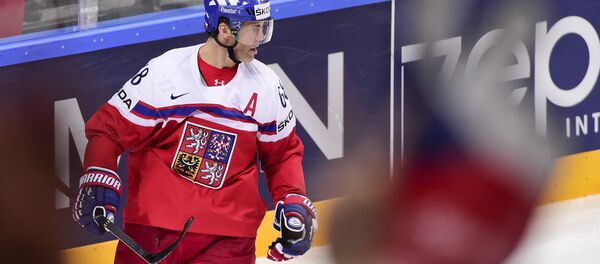 Чешский хоккеист Яромир Ягр, архивное фото - Sputnik Беларусь