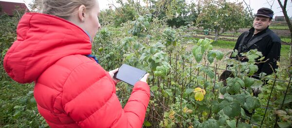 Перепись населения – переписчики в Молодечно - Sputnik Беларусь