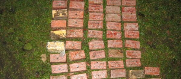 Изъятый тротил - Sputnik Беларусь