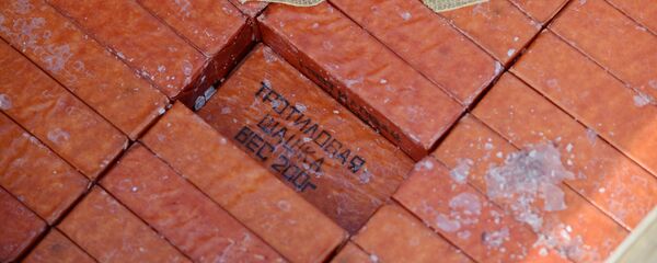 Ящик с тротиловыми шашками, архивное фото - Sputnik Беларусь