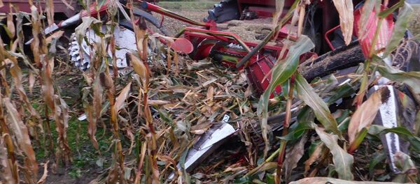 Пенсионер попал в жатку комбайна под Столбцами - Sputnik Беларусь