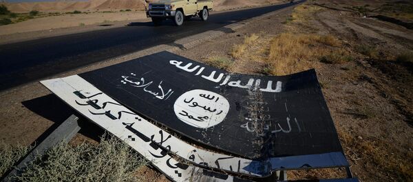 Сбитый щит Исламского государства - Sputnik Беларусь