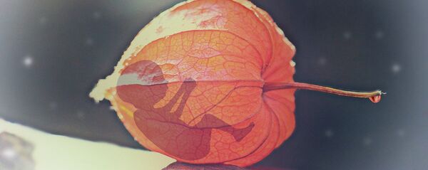 Аборт - Sputnik Беларусь