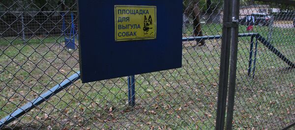Площадка для выгула собак Площадка для выгула собак - Sputnik Беларусь