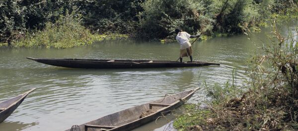 Пойма реки Нигер, архивное фото Пойма реки Нигер, архивное фото - Sputnik Беларусь