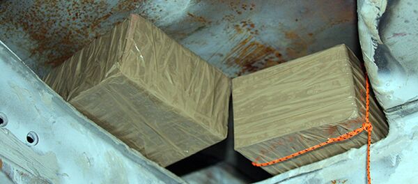 Обнаруженный гашиш - Sputnik Беларусь