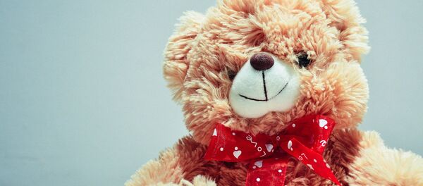 Плюшевый медвежонок - Sputnik Беларусь