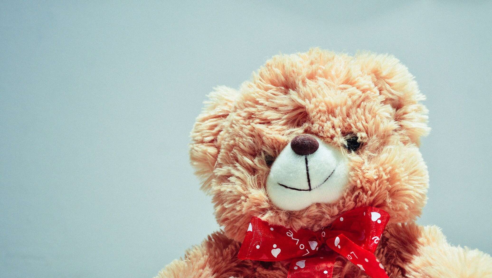 Тедди i Miss you. Teddy Bear i Miss you. Картинки на телефон медведь. Нос плюшевого медведя.