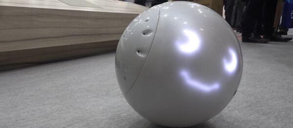 Японский робот для детей Японский робот для детей - Sputnik Беларусь