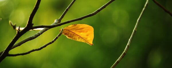 Осень, архивное фото - Sputnik Беларусь